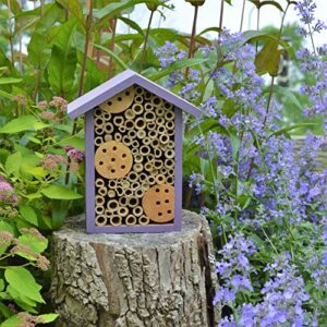 Nature's Way Bird Products PWH1-B Purple Bee House