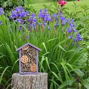 Nature's Way Bird Products PWH1-B Purple Bee House