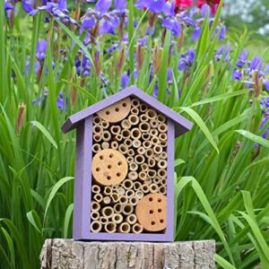 Nature's Way Bird Products PWH1-B Purple Bee House