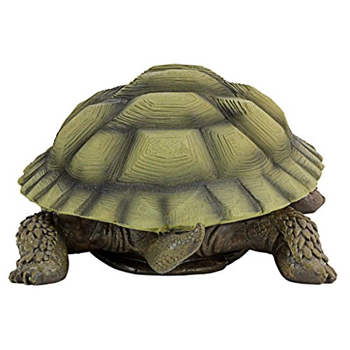 Design Toscano QM1887611 Gilbert The Box Turtle Garden Decor Animal Statue, 9 Inch, Single, Full Color