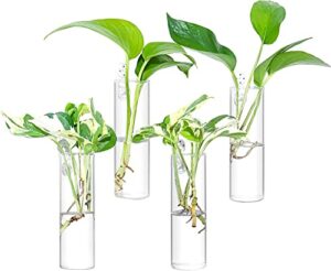 ivolador 4pcs wall hanging glass plant terrarium container cylinder shape perfect for propagating hydroponic plants home office garden decor wedding