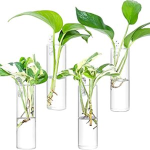 Ivolador 4PCS Wall Hanging Glass Plant Terrarium Container Cylinder Shape Perfect for Propagating Hydroponic Plants Home Office Garden Decor Wedding