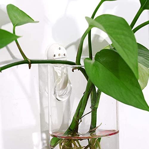 Ivolador 4PCS Wall Hanging Glass Plant Terrarium Container Cylinder Shape Perfect for Propagating Hydroponic Plants Home Office Garden Decor Wedding