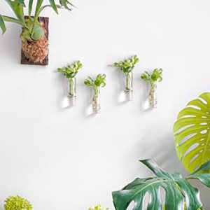 Ivolador 4PCS Wall Hanging Glass Plant Terrarium Container Cylinder Shape Perfect for Propagating Hydroponic Plants Home Office Garden Decor Wedding