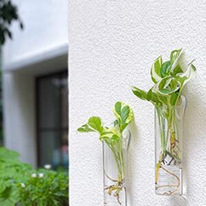 Ivolador 4PCS Wall Hanging Glass Plant Terrarium Container Cylinder Shape Perfect for Propagating Hydroponic Plants Home Office Garden Decor Wedding