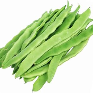 Special! Pole Bean Seeds for Planting Vegetables and Fruits-Chinese Green Bean Seeds 扁豆芸豆.French/Romano Pole Beans.Non GMO Garden Seeds for Home Vegetable Garden-30ct Helda Bean,15g