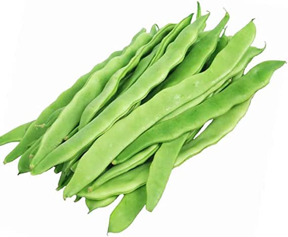 Special! Pole Bean Seeds for Planting Vegetables and Fruits-Chinese Green Bean Seeds 扁豆芸豆.French/Romano Pole Beans.Non GMO Garden Seeds for Home Vegetable Garden-30ct Helda Bean,15g