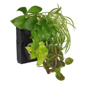 living walls direct wall planter | bustani 2×2 vertical garden | 4 pot living wall planter – easy to create indoor living wall for home/office | great decor for patios & entryways | made of plastic