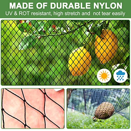 Bird Netting - 25’ x 50’ Garden Netting with 1” Square Mesh as Poultry Netting for Chicken Coop Roof, Heavy Duty Bird Netting for Garden Protection, Nylon Garden Mesh Netting for Fruit Tree, Bushes