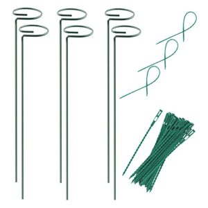 plant stake support – 6 pack, garden single stem support stake plant cage support rings, single stem plant support stakes, plant twist ties, for flowers amaryllis tomatoes peony lily rose (15.9 inch)