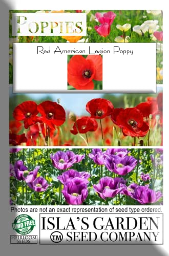 Red American Legion Poppy Seeds, 3000 Heirloom Flower Seeds Per Packet, (Isla's Garden Seeds), Non GMO Seeds, Scientific Name: Papaver rhoeas