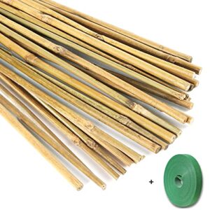 yowlieu 20 pcs natural bamboo stakes + 1 roll garden ties, 18 inches bamboo sticks gardening plant support stakes for indoor plants, tomato, potted plants