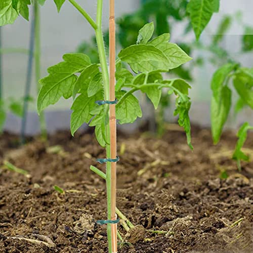 Yowlieu 20 Pcs Natural Bamboo Stakes + 1 Roll Garden Ties, 18 Inches Bamboo Sticks Gardening Plant Support Stakes for Indoor Plants, Tomato, Potted Plants