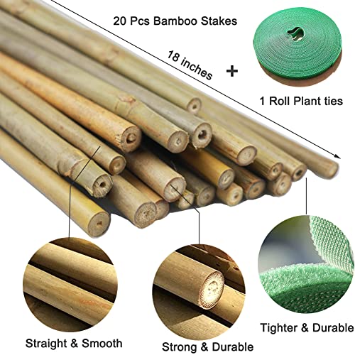 Yowlieu 20 Pcs Natural Bamboo Stakes + 1 Roll Garden Ties, 18 Inches Bamboo Sticks Gardening Plant Support Stakes for Indoor Plants, Tomato, Potted Plants