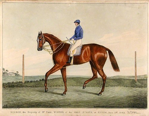 Poison, the Property of Mr. Ford, Winner of the Oaks Stakes, at Epsom, June 2nd. 1843. By Plenipo out of Arsenic