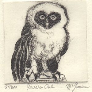 Young Owl