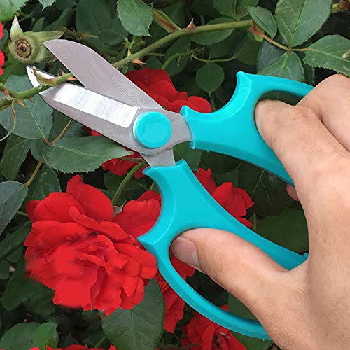 Jasni Garden Pruning Shears Scissors with Comfort Grip Handle, Premium Steel Professional Floral Scissors, Perfect for Arranging Flowers, Pruning, Trimming Plants, Gardening Tool (Blue)