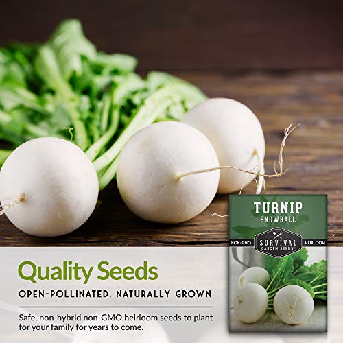 Survival Garden Seeds - Turnip Snowball Seed for Planting - Packet with Instructions to Plant and Grow Root Vegetables and Greens in Your Home Vegetable Garden - Non-GMO Heirloom Variety