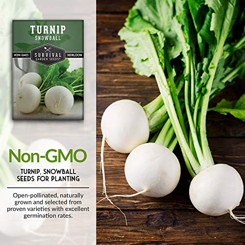 Survival Garden Seeds - Turnip Snowball Seed for Planting - Packet with Instructions to Plant and Grow Root Vegetables and Greens in Your Home Vegetable Garden - Non-GMO Heirloom Variety