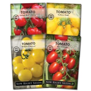 Sow Right Seeds - Cherry Tomato Seed Collection for Planting - Large Red Cherry, Yellow Pear, White, and Rio Grande Tomatoes - Non-GMO Heirloom Varieties to Plant and Grow Home Vegetable Garden