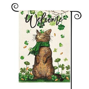 avoin colorlife st patricks day welcome cat garden flag 12×18 inch double sided, shamrock lucky clover rustic holiday yard outdoor flag
