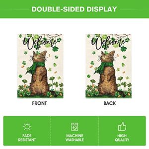 AVOIN colorlife St Patricks Day Welcome Cat Garden Flag 12x18 Inch Double Sided, Shamrock Lucky Clover Rustic Holiday Yard Outdoor Flag