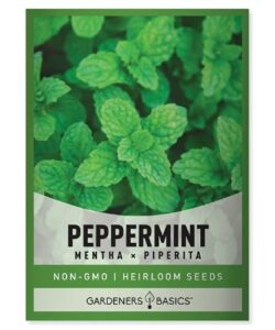 peppermint seeds for planting is a heirloom, open-pollinated, non-gmo herb variety- great for indoor and outdoor gardening and herbal tea gardens by gardeners basics