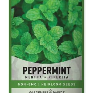 Peppermint Seeds for Planting is A Heirloom, Open-Pollinated, Non-GMO Herb Variety- Great for Indoor and Outdoor Gardening and Herbal Tea Gardens by Gardeners Basics