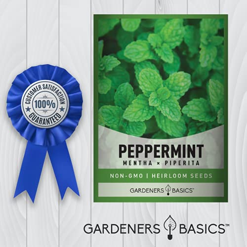 Peppermint Seeds for Planting is A Heirloom, Open-Pollinated, Non-GMO Herb Variety- Great for Indoor and Outdoor Gardening and Herbal Tea Gardens by Gardeners Basics