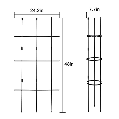 MIXXIDEA 2 Packs Garden Trellis for Climbing Plants Outdoor and Indoor - 48-Inch Garden Obelisk Trellis Adjustable Metal Trellis for Tomato Plant Support