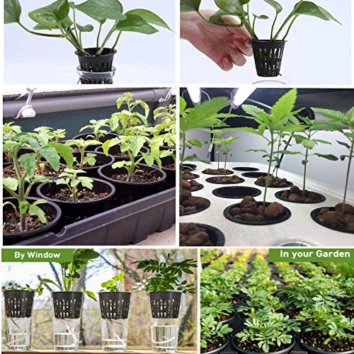 2 Inch Plastic Net Cups, Pots Plant Containers, for Hydroponics Aquaponics Orchids, 50 Pcs Black.