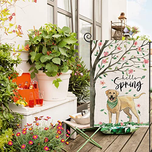 Hello Spring Dog Garden Flag 12x18 Inch Double Sided,Golden Retriever Under The Tree Small Yard Flag for Outdoor,Summer Seasonal Decors for Farmhouse Holiday Outside