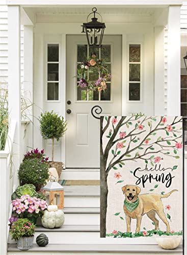 Hello Spring Dog Garden Flag 12x18 Inch Double Sided,Golden Retriever Under The Tree Small Yard Flag for Outdoor,Summer Seasonal Decors for Farmhouse Holiday Outside