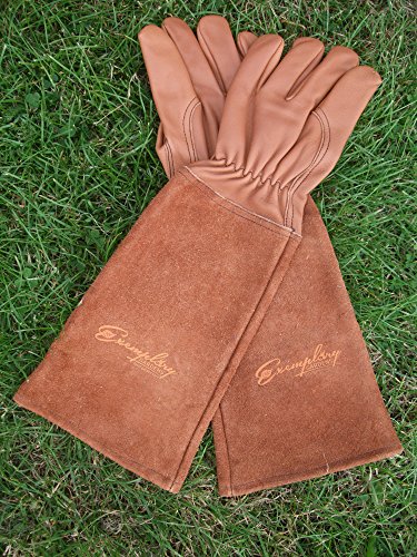 Rose Pruning Gloves for Men and Women - Thorn Proof Goatskin Leather Gardening Gloves with Gauntlet (Extra Large, Brown)