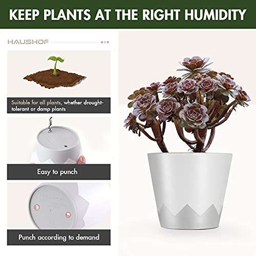 HAUSHOF 5 Inch Plant Pots, 10 Pcs Plastic Planters for Flower Planting, Flower Pots for Indoor, Home and Garden, Light Grey