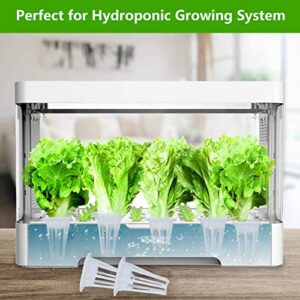 Ambgrow 50pcs Grow Baskets for Indoor Hydroponics Supplies, Hydroponics Growing System Plant Seed Pods Compatible with Partly QYO, LYKO,Idoo Hydroponic Garden System(Square)