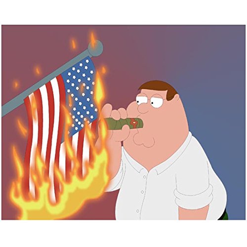 Peter Griffin 8 Inch x 10 Inch Photograph Family Guy (TV Series 1999 - ) Lighting Cigar on Burning Flag kn