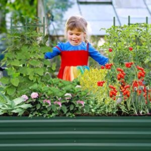 SONFILY Raised Garden Bed Outdoor,Raised Garden Bed for Gardening Garden Boxes Outdoor Metal Raised Garden Beds Galvanized Outdoor,6x3x1ft Green with 2 Packs Plant Support and 1 Pack Glove.
