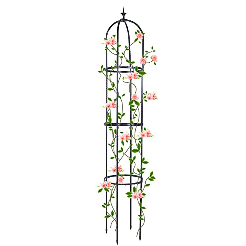 Trellis for Climbing Plants Outdoor, deaunbr Garden Plant Support Tall Tower Obelisk Vine Cages Plastic Coated Rustproof Metal Pipe Supports for Outdoor Indoor, Potted Plants, Tomato, Rose - 1 Pack