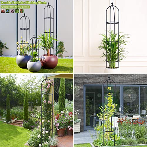 Trellis for Climbing Plants Outdoor, deaunbr Garden Plant Support Tall Tower Obelisk Vine Cages Plastic Coated Rustproof Metal Pipe Supports for Outdoor Indoor, Potted Plants, Tomato, Rose - 1 Pack