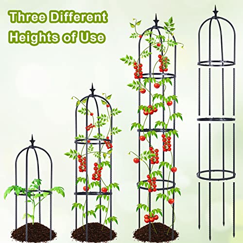 Trellis for Climbing Plants Outdoor, deaunbr Garden Plant Support Tall Tower Obelisk Vine Cages Plastic Coated Rustproof Metal Pipe Supports for Outdoor Indoor, Potted Plants, Tomato, Rose - 1 Pack