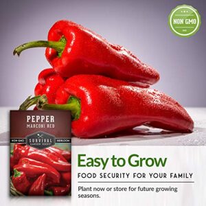 Survival Garden Seeds - Marconi Red Pepper Seed for Planting - Packet with Instructions to Plant and Grow Long Sweet Italian Peppers in Your Home Vegetable Garden - Non-GMO Heirloom Variety