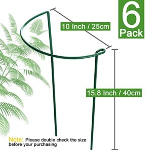 HiGift 6 Pack Plant Support Plant Stakes, Metal Garden Peony Support Cages, Outdoor Plant Support Ring Cage,Large Plant Support Stakes for Tomato,Rose,Flowers Vine,Indoor Plants (10" W x 15.8" H)