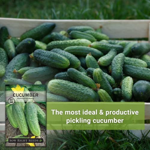 Sow Right Seeds - National Pickling Cucumber Seeds for Planting - Non-GMO Heirloom Seeds with Instructions to Plant and Grow a Home Vegetable Garden, Great Gardening Gift (1)