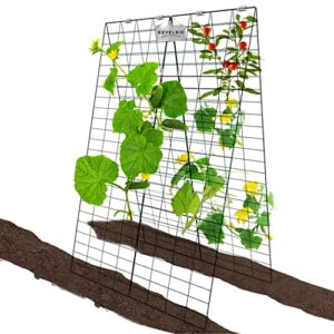revelrie 34”wx48”h frame trellis for cucumbers – foldable cucumber trellis for raised bed & in-ground – steel climbing plants support for vines, vegetables – 328 feet twist ties