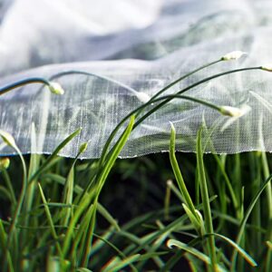 garden insect netting pest barrier: 10’x25′ bug netting for garden protection mosquito net fine mesh cicada tree net greenhouse row cover for crops plants vegetables flowers fruits silver