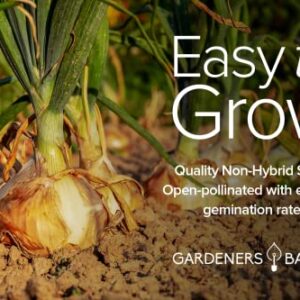 Onion Seeds for Planting - 8 Long and Short Day Varieties Yellow, Red, White, Sweet and Green Onions for Summer, Fall, Onion Seed by Gardeners Basics