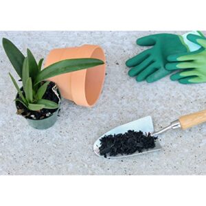 Horticultural Charcoal for Indoor Plants (4 Quarts), Hardwood Soil Amendment for Orchids, Terrariums, and Gardening