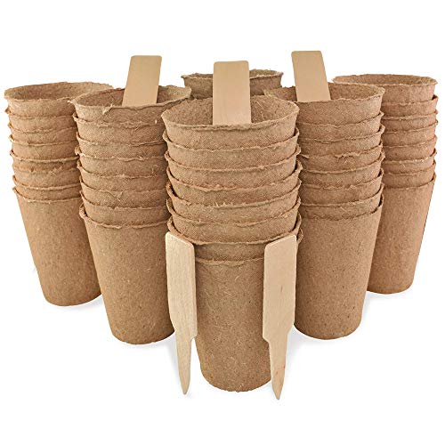 Daniel's Plants 3” Peat Pots | Plant Pots for Seedlings & Seed Starter Nursery Pots | Organic Biodegradable Plant Pots | Eco Friendly | Bonus 10 Wooden Plant Garden Labels | Bulk 60 Pack | 3 Inch