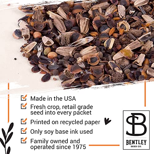 Bentley Seeds with Faith Pre Filled Giant Curled India Seed Packets - 25 Individual Mustard Seed Packs - Ideal for Party Favors - Non-GMO - Eco-Friendly Spring to Fall Gift - Outdoor Garden Seeds